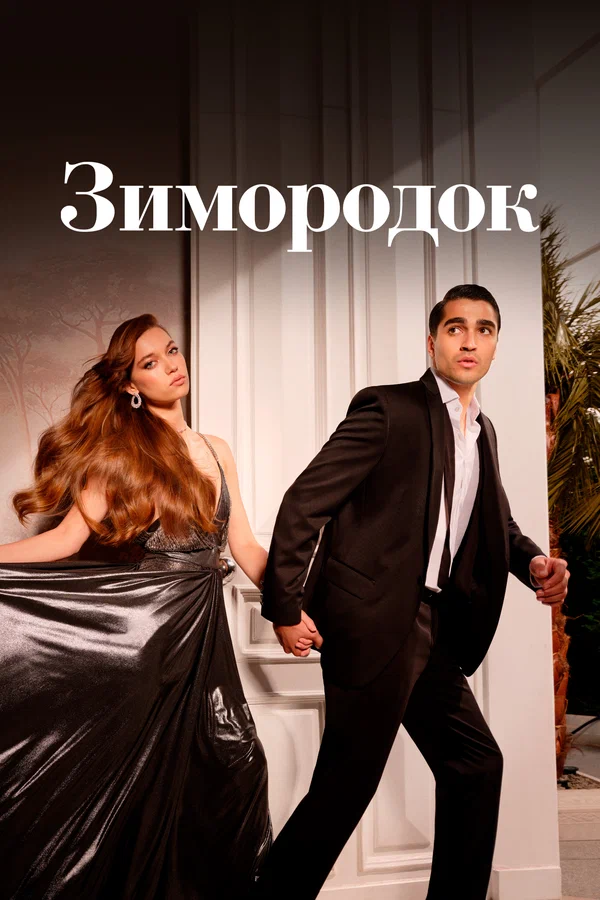 Зимородок: 2 сезон 8 серия